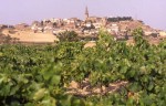 La-Rioja-vides