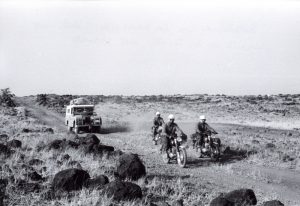 Operacio Impala per la savana baixa (1)