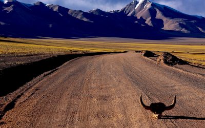 Tierra de nadie, cielo de todos (VI)